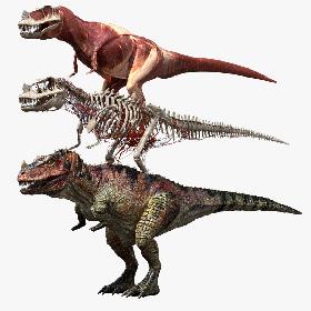 Ceratosaurus Anatomy 3D model